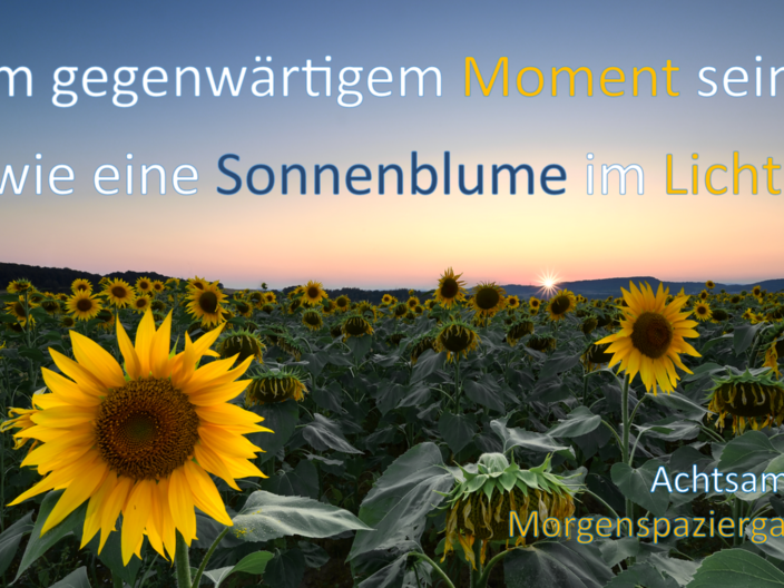 Sonnenblume: mit Text_ Im gegenwärtigen Moment sein - wie eine Sonnenblume im Licht